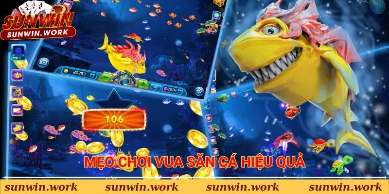 Mẹo tham gia chơi Vua Săn Cá hiệu quả từ cao thủ